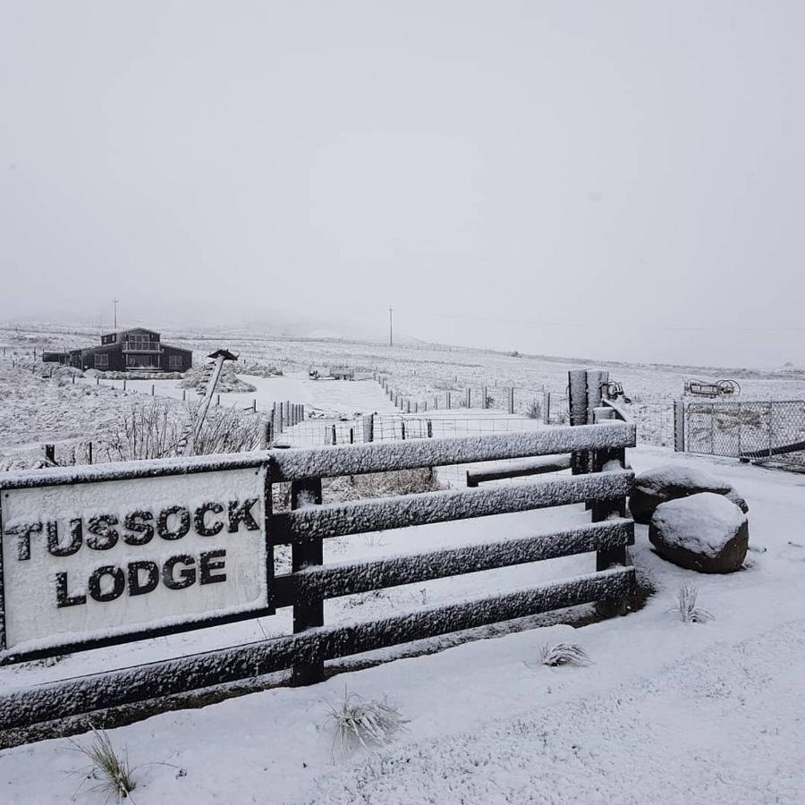 Tussock Lodge - Waipiata Экстерьер фото